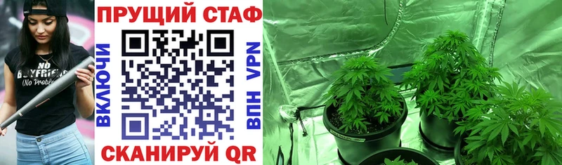 Купить закладку АМФ  Лсд 25  МЕТАДОН  ГАШ  Марихуана  Cocaine  Меф  СК  Козьмодемьянск