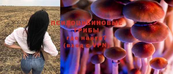 индика Алзамай