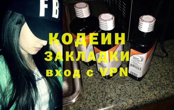 индика Алзамай