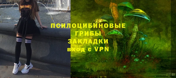 дживик Алексин