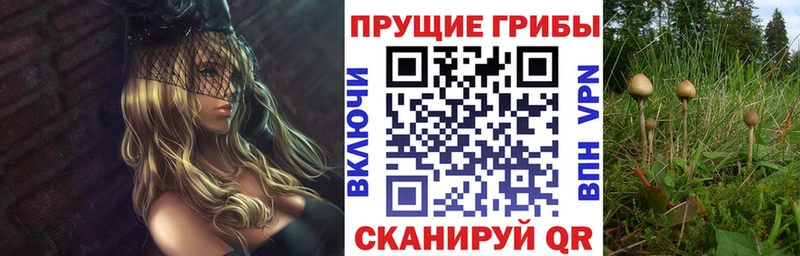 Купить закладки  Козьмодемьянск  Псилоцибиновые грибы Cubensis 